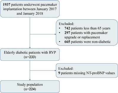 Independent and joint association of N-terminal pro-B-type natriuretic peptide and left ventricular mass index with heart failure risk in elderly diabetic patients with right ventricular pacing